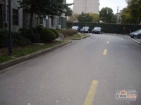 四季绿城实景图0
