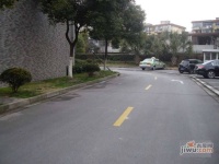 四季绿城实景图0