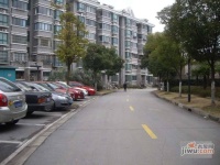四季绿城实景图0