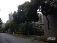 四季绿城实景图0