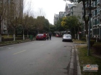 四季绿城实景图0