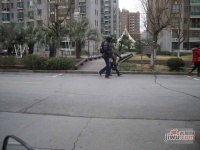 四季绿城实景图0