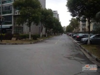 四季绿城实景图0