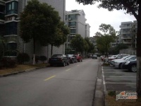 四季绿城实景图0