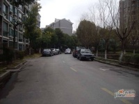 四季绿城实景图0