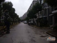 四季绿城实景图0