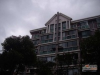 四季绿城实景图0