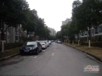 四季绿城实景图0