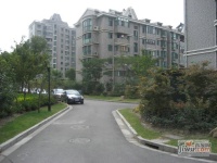 四季绿城实景图0