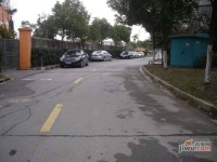 四季绿城实景图0