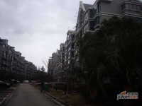 四季绿城实景图0