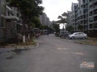 四季绿城实景图0
