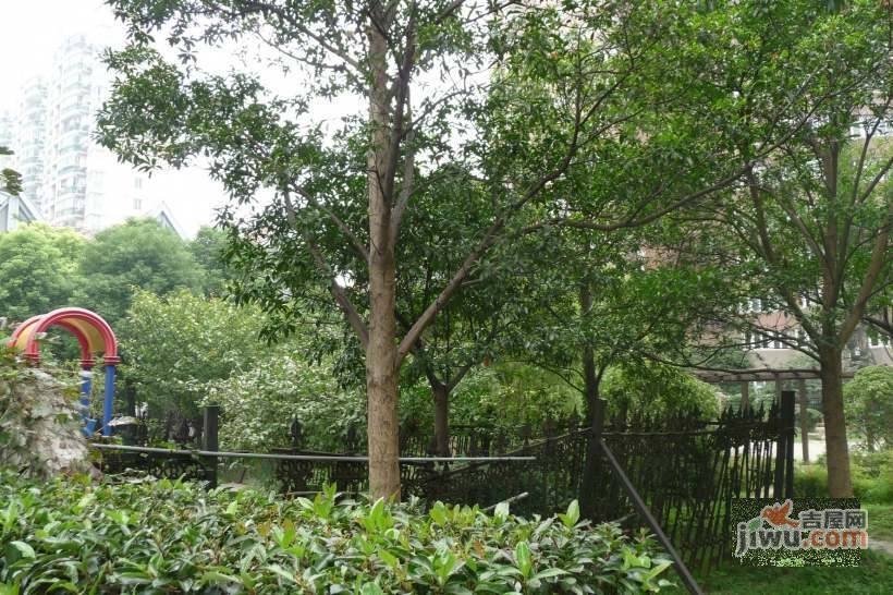 泰德花苑实景图图片