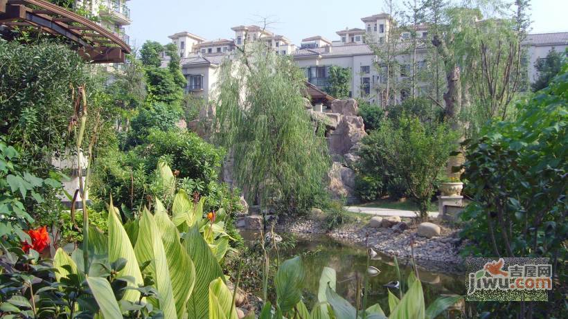新天地荻泾花园实景图图片