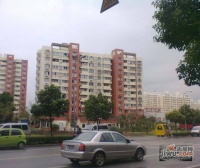 虹浦新城实景图图片