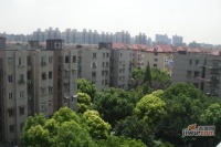 中城绿苑实景图图片