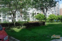 中城绿苑实景图图片