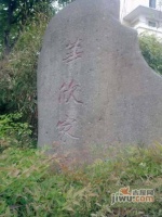 华欣家园实景图83