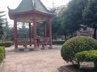 华欣家园实景图83
