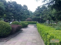 华欣家园实景图83