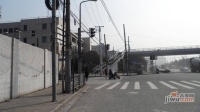 华欣家园实景图83
