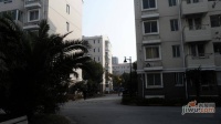 华欣家园实景图83