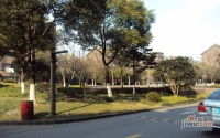 尚东国际名园实景图图片