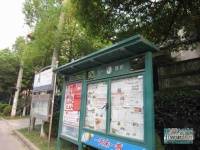 楼园实景图48