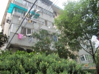 楼园实景图48