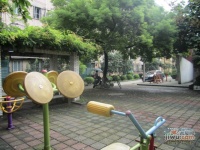 楼园实景图48