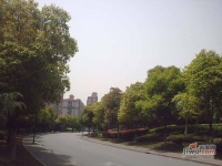 宝宸共和家园实景图图片