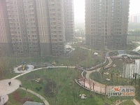 御上海实景图81