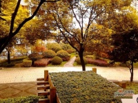 虹桥花苑实景图图片