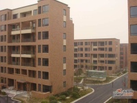 滴水湖馨苑实景图7