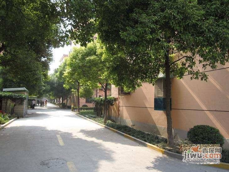 淞南五村实景图图片