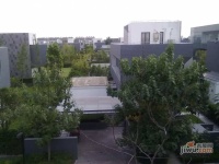 沁风雅泾轩实景图10