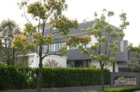沁风雅泾轩实景图10