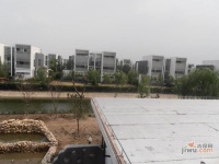 沁风雅泾轩实景图10