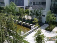 沁风雅泾轩实景图10