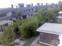 沁风雅泾轩实景图10