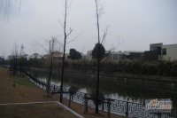 沁风雅泾轩实景图10