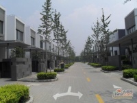 沁风雅泾轩实景图10