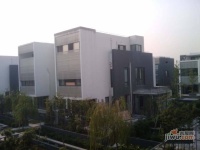 沁风雅泾轩实景图10