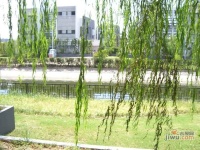 沁风雅泾轩实景图10