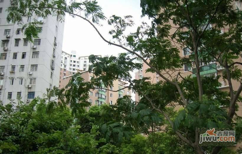 长岛花苑实景图图片