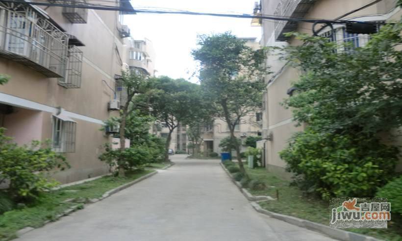上泰花苑实景图图片