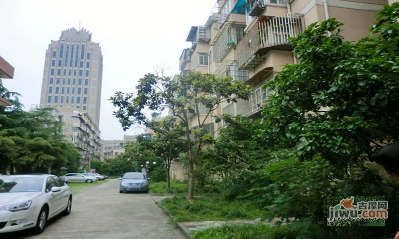 上泰花苑实景图图片
