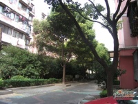 淞虹公寓实景图图片