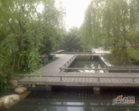 香梅花园实景图图片