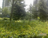 香梅花园实景图图片